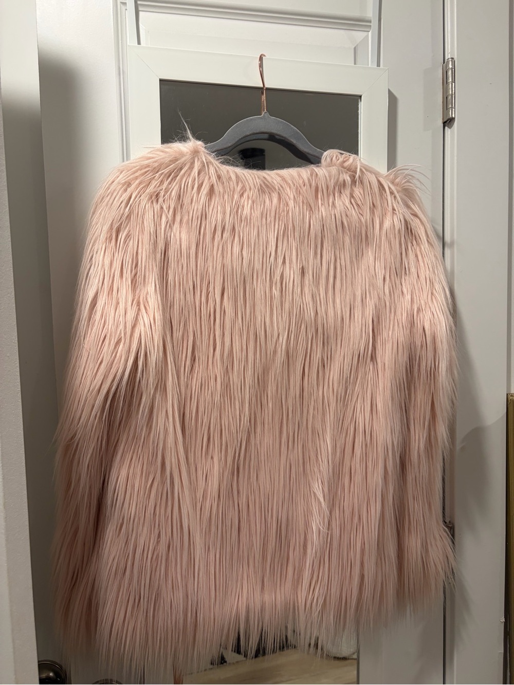 Urban Outfitters Fur Jacket - Picture 6 of 9